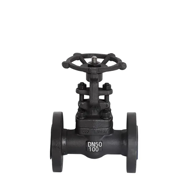 Forged Steel Flanged Gate Valve – Front View