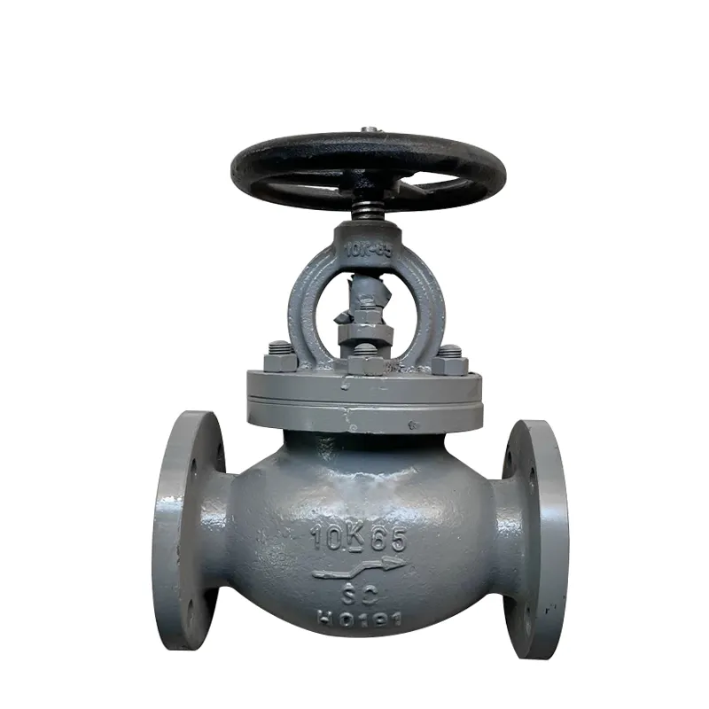 Marine JIS cast iron flange gate valve2