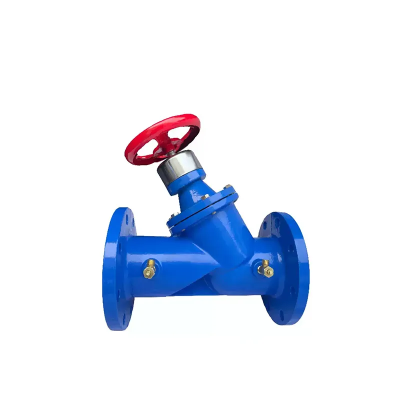 Digital Balancing Valve 1