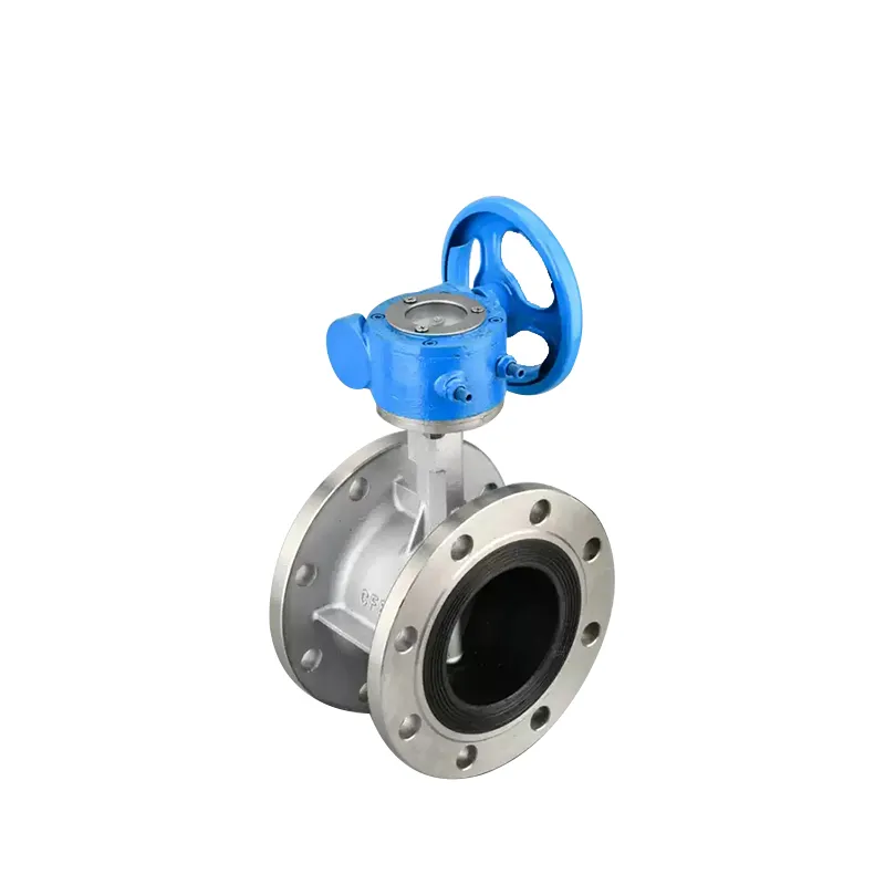 Manual Stainless Steel Flanged Butterfly Valve 1
