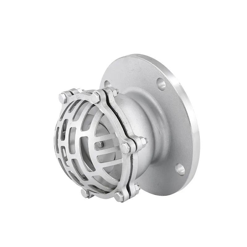 Stainless Steel Flanged Foot Valve with Strainer 2