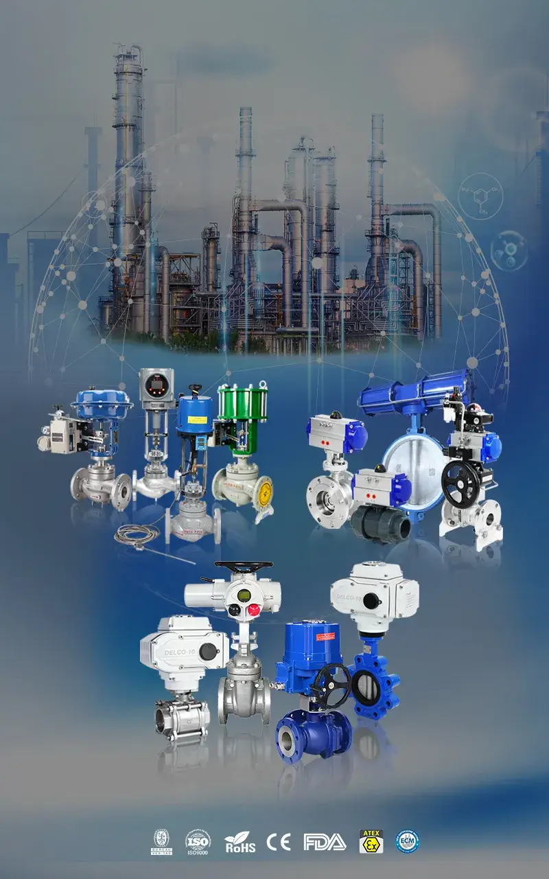 https://cn.delcovalves.com/wp-content/uploads/2026/01/首页网页1.webp