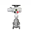 Electric Gate Valves